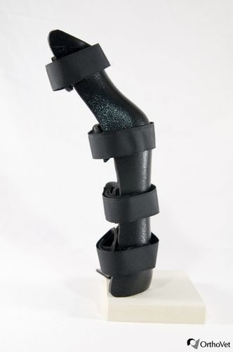 Protetor articular de uso veterinário protetor de jarrete - OrthoVet