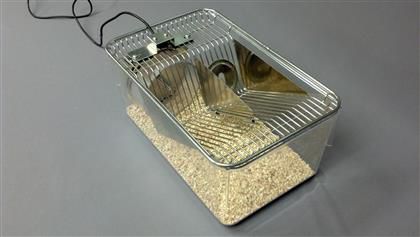 Gaiola veterinária conectada - Columbus Instruments - para ratos / modular / com roda de exercícios