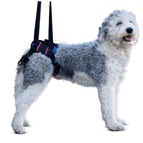Suporte de peso corporal para marcha - Walkin’ Lift Combo - Walkin' Pets - de perna / para cães
