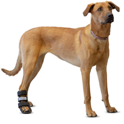 Tala veterinária para pata - Walkin' Pets - para tornozelo / para pé / para punho