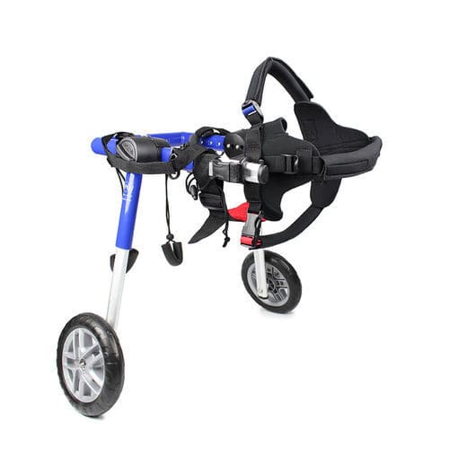 Cadeira de rodas veterinária para cães - Walkin' Wheels® MEDIUM - Walkin' Pets