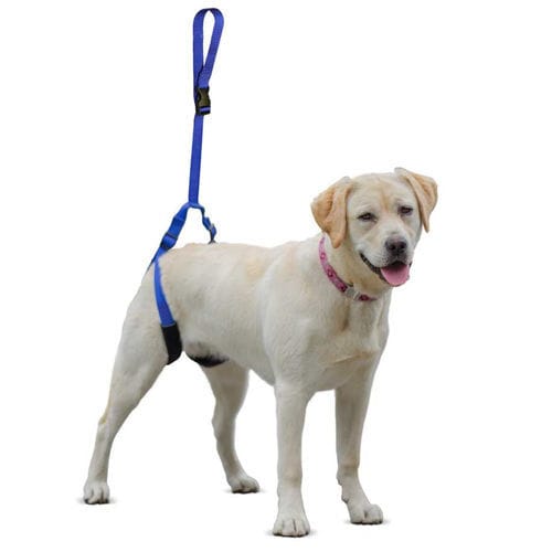 Suporte de peso corporal para marcha - Walkin’ Up-n-Go - Walkin' Pets - de perna / para cães