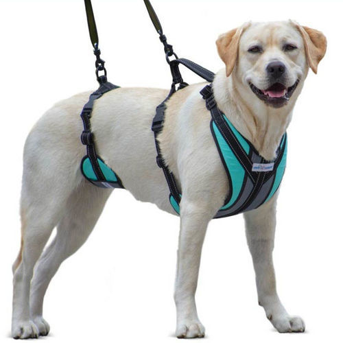 Suporte de peso corporal para marcha - Walkin’ Lift-n-Step - Walkin' Pets - para cães