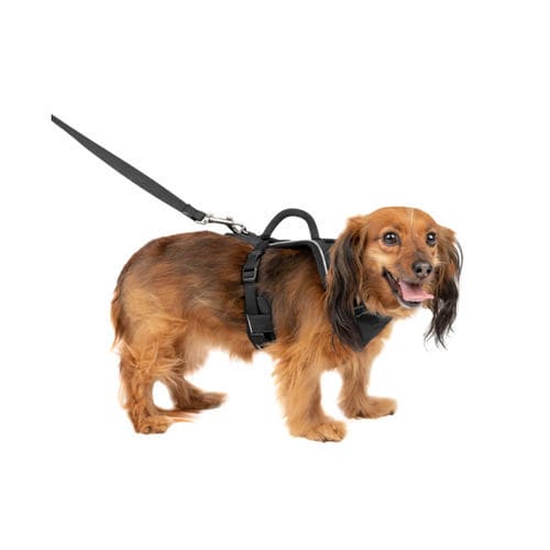 Suporte corporal para locomoção - EasySport™ - PetSafe - veterinário / para cães