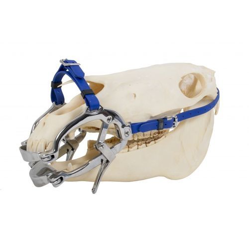 Espéculo veterinário odontológico - Millenium pony  - Equus Dental - para equídeos