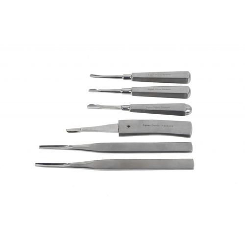 Elevador odontológico veterinário - STO-KIT6E01IC - Equus Dental - reto / para dentes de lobo / para fragmentos dentários