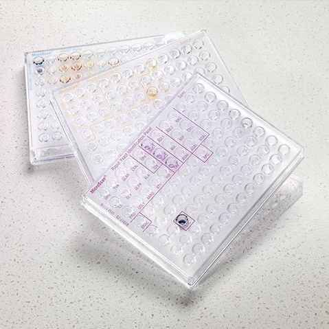 Kit de teste para doenças infecciosas - B10 series - Beckman Coulter - para análise de identificação / de bactérias / para levedura