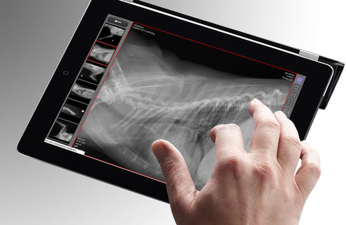 Aplicativo Web de diagnóstico - dicomPACS® vet MobileView - OR Technology - Oehm und Rehbein - médico-hospitalar / para diagnóstico veterinário por imagem / baseado em tecnologia Web