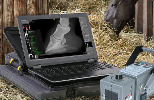 Módulo de software de análise - dicomPACS® vet - OR Technology - Oehm und Rehbein - para radiologia / veterinário