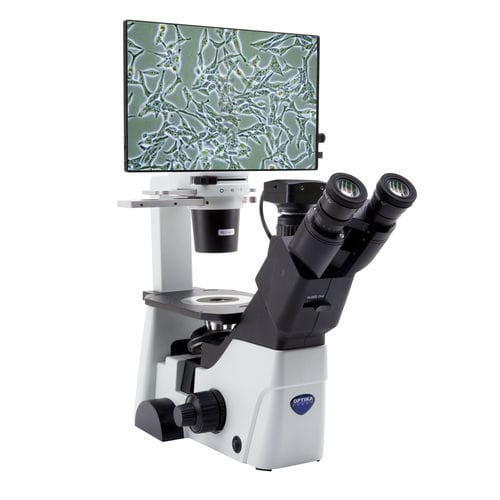 Microscópio óptico - IM-300D - Optika Italy - digital / de laboratório / invertido