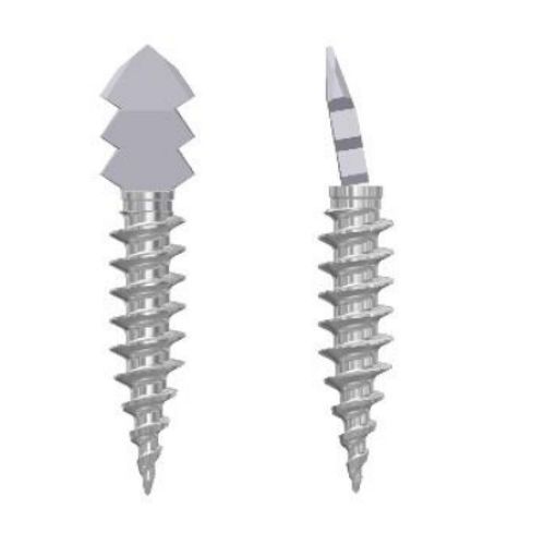 Parafuso para artrodese para articulação interfalângica do pé - Health-Joy Medical - para antepé / sem cabeça / metálico