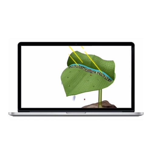 Software de visualização 3D - Visible Biology - Visible Body - para treinamento / de simulação 3D / médico-hospitalar
