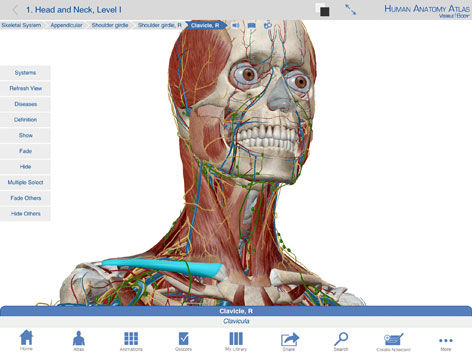 Aplicativo para iOS de anatomia - Human Anatomy Atlas - Visible Body - para treinamento / de diagnóstico / de captura de imagens