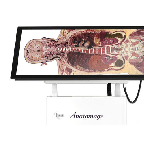 Mesa de anatomia para formação - Alpha - Anatomage - de dissecção virtual / retangular