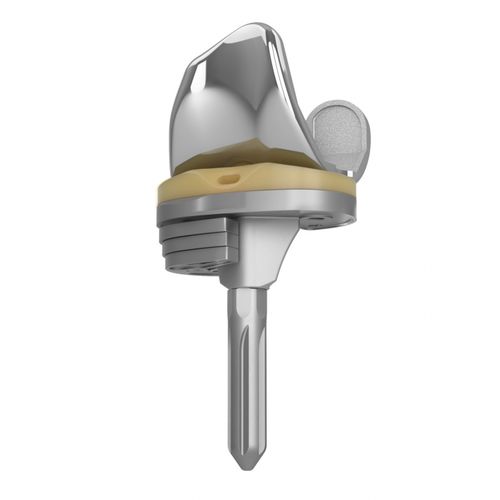 Prótese total de joelho - EMPOWR™  - Trilliant Surgical - com plataforma fixa / cimentada