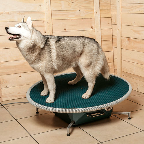 Prancha de equilíbrio veterinária - PHYSIO-Swing - PHYSIO-TECH