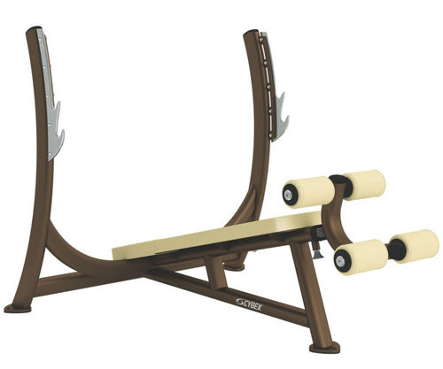 Banco de musculação invertido - Free Weights - Cybex - com suporte de halteres