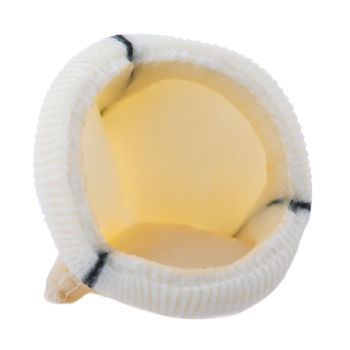 Bioprótese valvar aórtica - Dokimos® Plus - Labcor - de tecido bovino