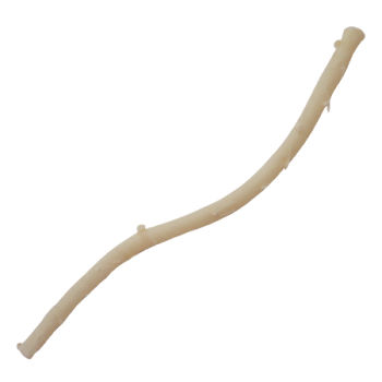 Bioprótese vascular de artéria - 10171250026 - Labcor - aloenxerto