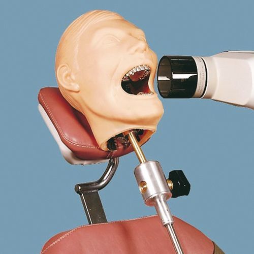 Fantoma para radiografia dentária - QUART X-Ray QA Solutions - de mandíbula