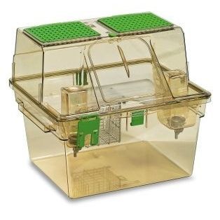 Jaula para experimentação animal com ventilação - GR1800 - Tecniplast - para roedores / modular / dois andares
