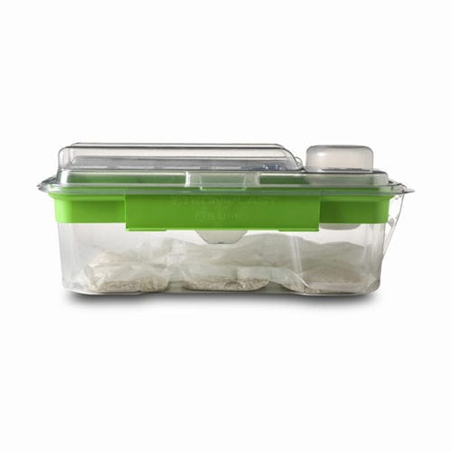 Jaula para experimentação animal descartável - SUMC - Tecniplast - para roedores / modular