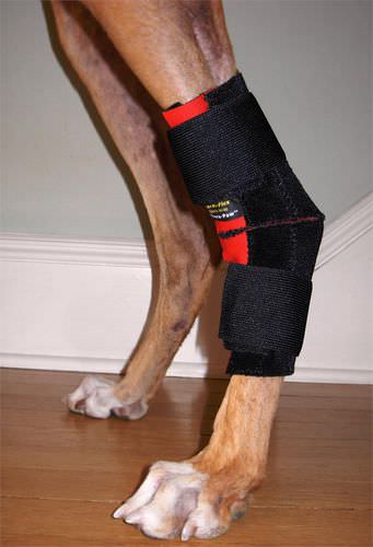 Protetor articular de uso veterinário protetor de cotovelo - Thera-Paw