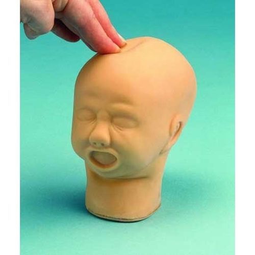 Modelo de cabeça - ZKK-240-K - Educational + Scientific Products Ltd - de palpação / de feto / flexível