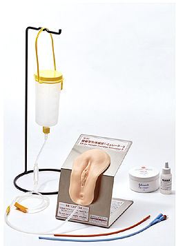 Simulador para treinamento - M180 - Sakamoto Model Corporation - de cateterismo urinário / para procedimentos de urologia / feminino