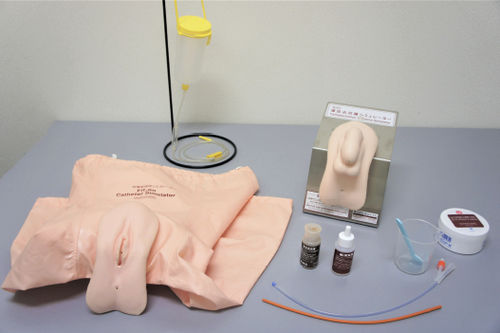 Simulador para treinamento - M200-6 - Sakamoto Model Corporation - de cateterismo / para procedimentos de ginecologia / feminino