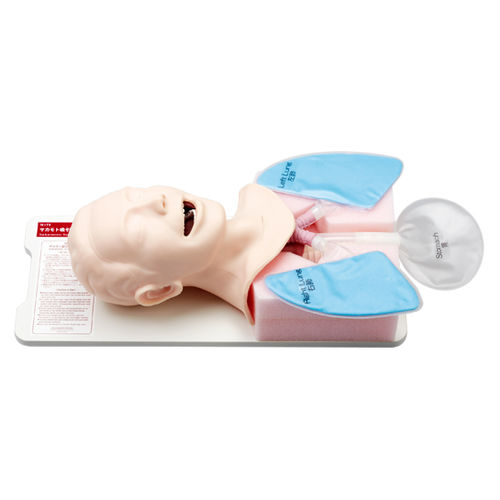 Simulador para treinamento - M175 - Sakamoto Model Corporation - de intubação / para aspiração das vias respiratórias / para procedimentos de emergência médica