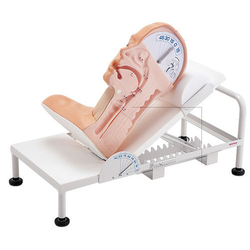 Simulador para treinamento - M163 - Sakamoto Model Corporation - de deglutição / para procedimentos de emergência médica / de cabeça