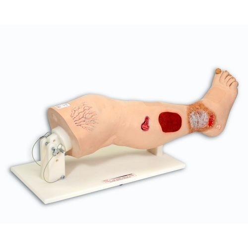 Modelo anatômico de perna - Vinnie™ - VATA, Inc. - para treinamento / para ensino / de tratamento de úlceras