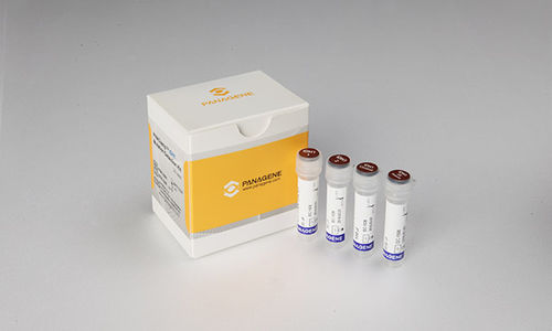 Kit de teste para câncer - PNACIamp™ - Panagene Inc. - para oncologia / para RT-PCR
