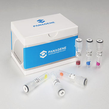 Kit de reagentes em solução - Panagene Inc. - para ácidos nucleicos / de peptídio C