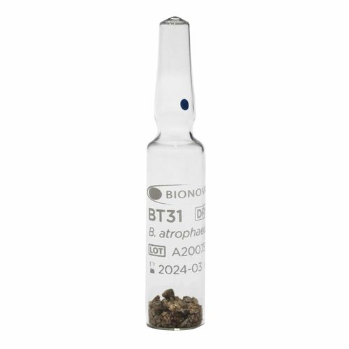 Indicador biológico de esterilização - BT31 - Terragene SRL - médico-hospitalar