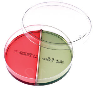 Reagente de ágar MacConkey - B193272CLED - Vacutest Kima S.r.l. - para pesquisa / de Salmonella / de Shigella