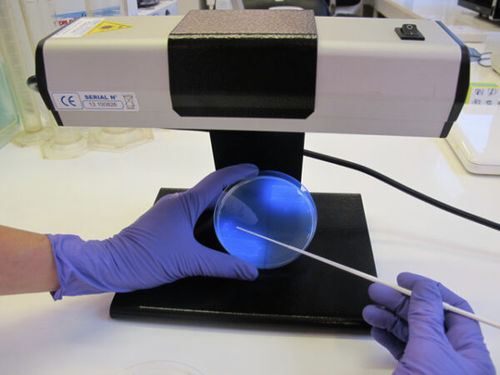 Reagente meio reacional - CD122 - CHROMagar - para isolamento bacteriano / para amostras de fezes / de Clostridium difficile