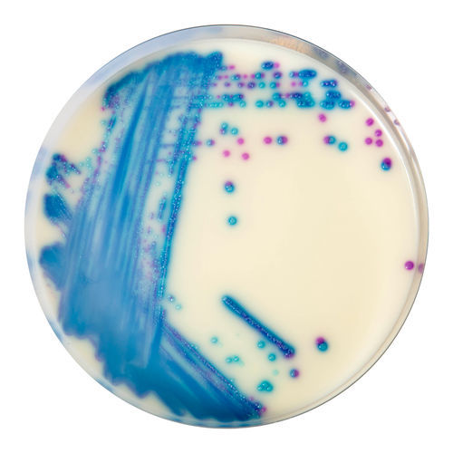 Reagente meio reacional - VR952  - CHROMagar - para microbiologia / para amostras de fezes / de Enterococcus