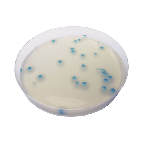 Reagente meio reacional - BC732  - CHROMagar - para microbiologia / para produtos alimentares / para análises ambientais