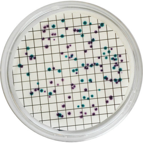 Reagente meio reacional - EL382 - CHROMagar - para microbiologia / para análise de água / de Escherichia coli