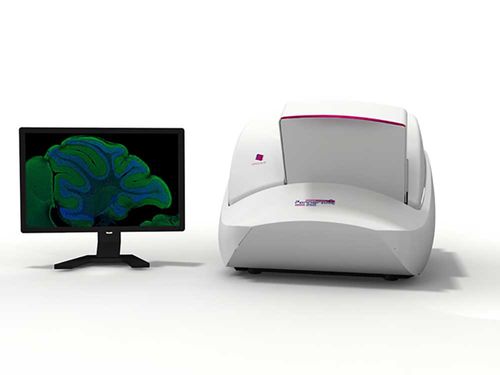 Scanner de lâminas de microscópio - Pannoramic 250 FLASH III - 3DHISTECH Ltd. - com leitor de códigos de barras / de grande capacidade / automático