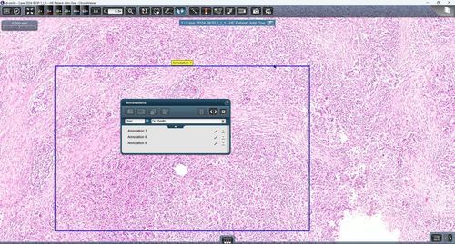 Software médico-hospitalar - ClinicalViewer - 3DHISTECH Ltd. - para hospital / clínico / de teleconsulta