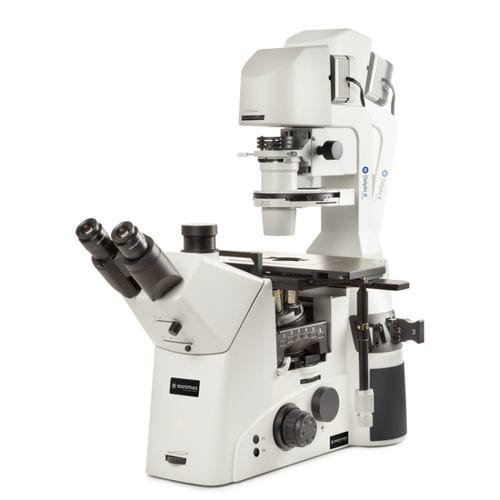 Microscópio invertido - Delphi-X  - Euromex - óptico / de laboratório / trinocular