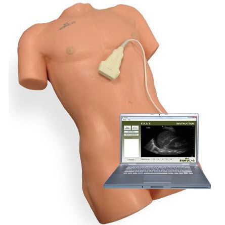 Simulador de paciente para ecografia - SonoMan® - Simulab Corporation - de anatomia / de trauma / de torso