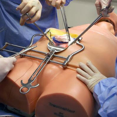 Simulador de paciente para laparoscopia - SA-1130 - Simulab Corporation - para cirurgia abdominal / de trauma / tela