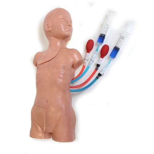 Simulador de paciente de acesso vascular - VAC-30 - Simulab Corporation - de torso