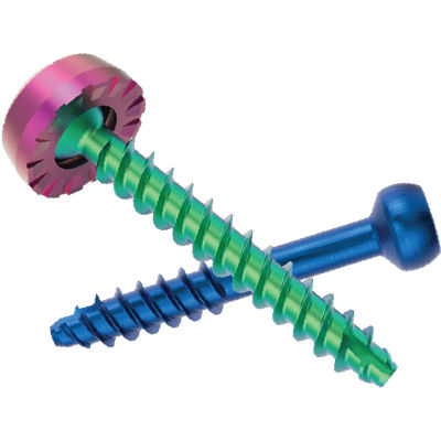 Parafuso pedicular poliaxial - FACET FIXX® - Nexxt Spine - canulado / metálico