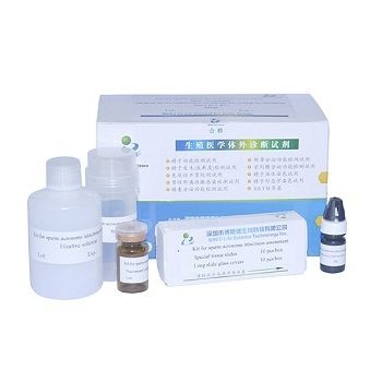 Kit de reagentes solução de coloração - Bred Life Science Technology Inc . - para análise de esperma