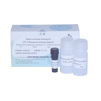 Kit de teste de fertilidade - A23187 - Bred Life Science Technology Inc . - de esperma / por fluorescência